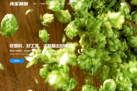 纯玺精酿:“饮”领精酿啤酒正统品质新时代